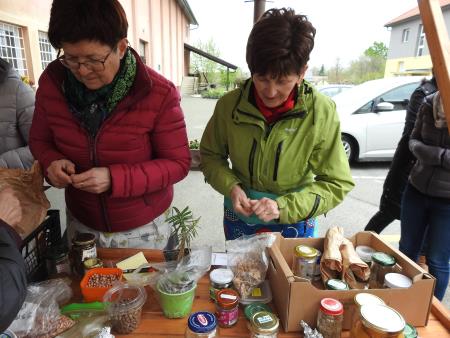 Zelemenjava prvič na Razkrižju 17